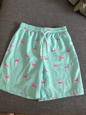 Boy’s Mint Green Flamingo Swim Trunks